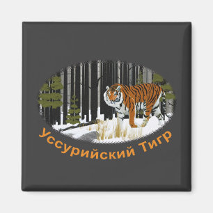 Siberian Tiger Magneet