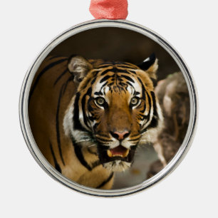 Siberian Tiger Metalen Ornament