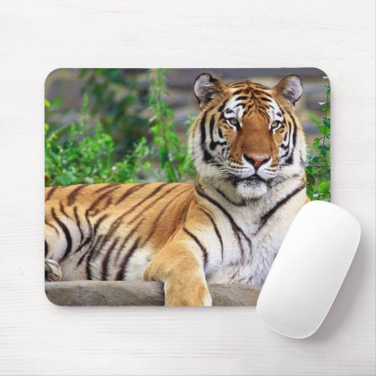 Siberian Tiger Mousepad Muismat (Met muis)