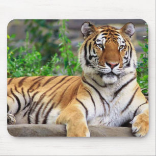 Siberian Tiger Mousepad Muismat