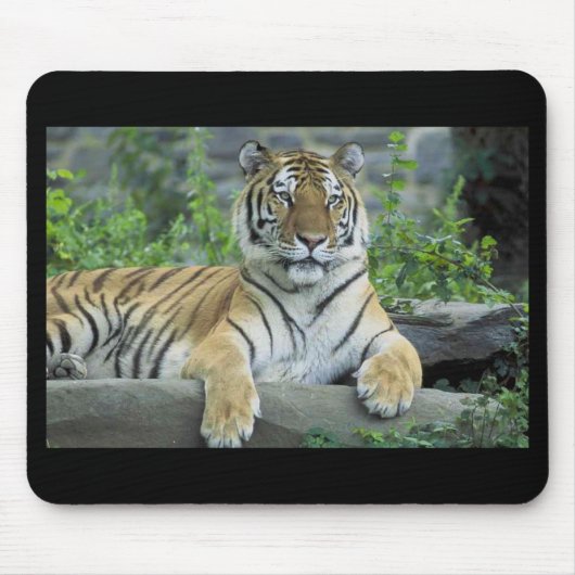 Siberian Tiger Mousepad Muismat (Voorkant)