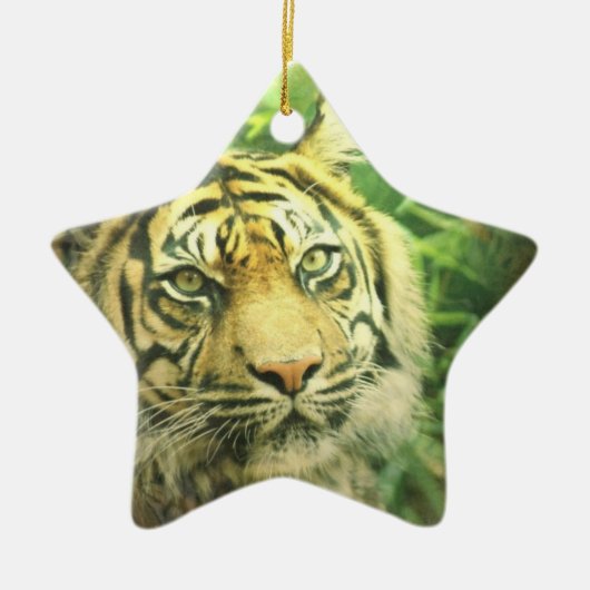 Siberian Tiger Ornament (Voorkant)