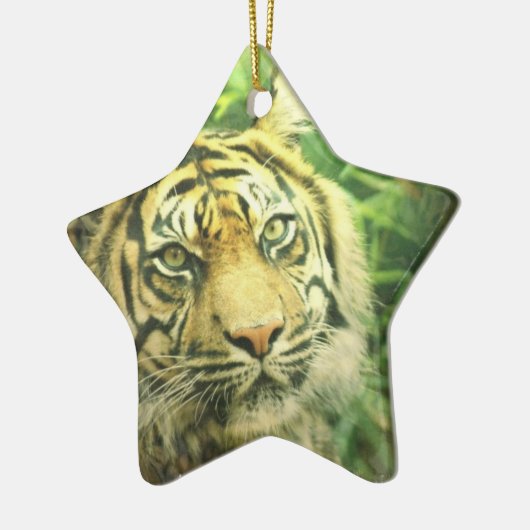 Siberian Tiger Ornament (Links)