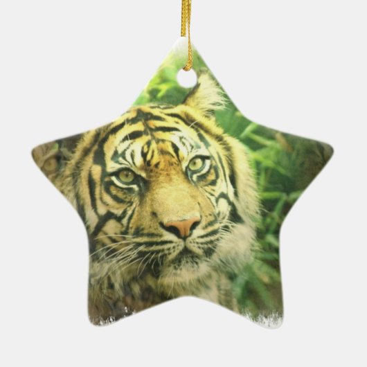 Siberian Tiger Ornament (Achterkant)