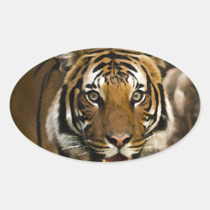 Siberian Tiger Ovale Sticker