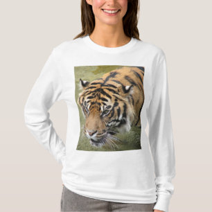 Siberian Tiger Photo Dames T-shirt met lange mouwe