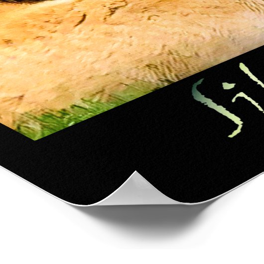 Siberian Tiger Poster (Hoek)