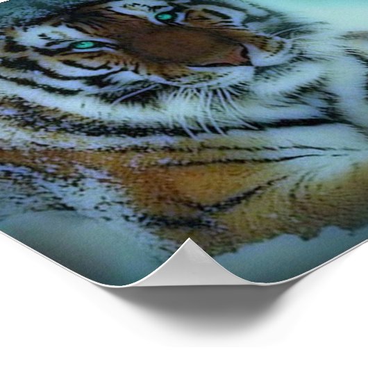 Siberian Tiger Poster (Hoek)