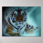 Siberian Tiger Poster (Voorkant)