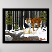 Siberian Tiger Poster (Voorkant)