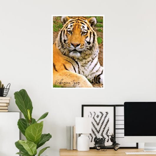 Siberian Tiger Poster (Thuiskantoor)