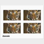 Siberian Tiger Rechthoekige Sticker (Vel)