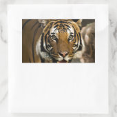 Siberian Tiger Rechthoekige Sticker (Tas)