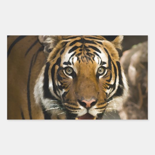 Siberian Tiger Rechthoekige Sticker (Voorkant)
