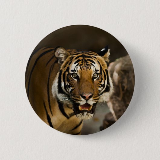 Siberian Tiger Ronde Button 5,7 Cm (Voorkant)