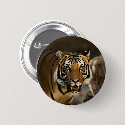Siberian Tiger Ronde Button 5,7 Cm (Voorkant /achterkant)