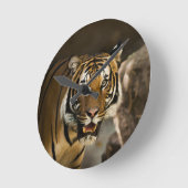 Siberian Tiger Ronde Klok (Hoek)