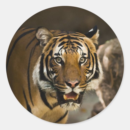 Siberian Tiger Ronde Sticker (Voorkant)
