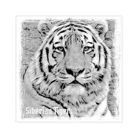 Siberian Tiger Rubberstempel (Afrduk)