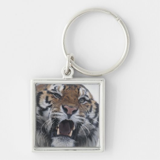 Siberian Tiger Snarling Sleutelhanger (Voorkant)