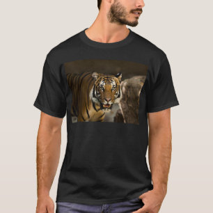 Siberian Tiger T-shirt