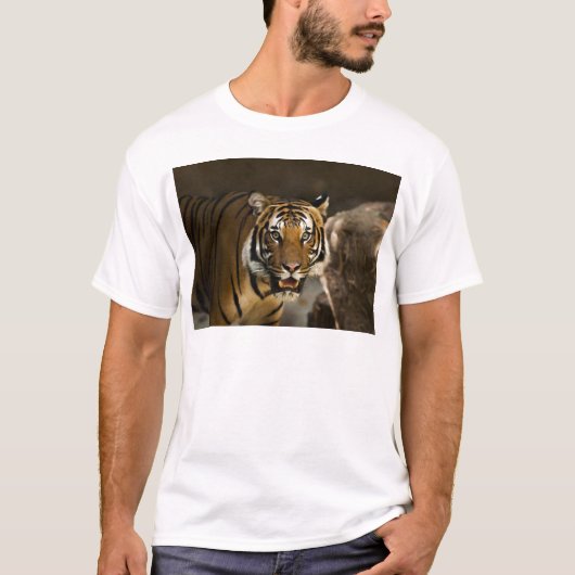 Siberian Tiger T-shirt (Voorkant)