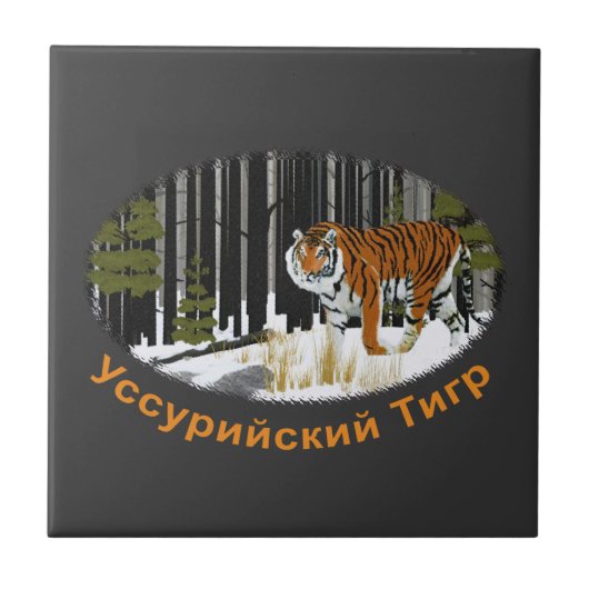 Siberian Tiger Tegeltje (Voorkant)