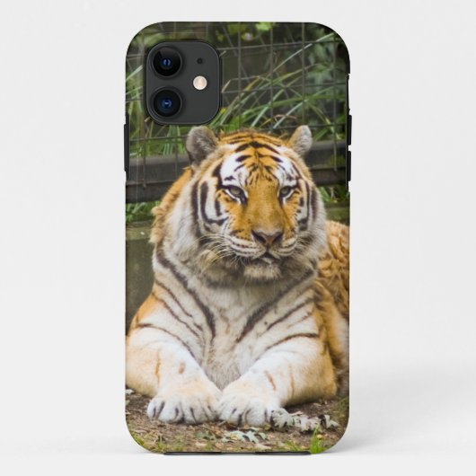 Siberian Tiger Tigress Hoesje-Mate iPhone Case (Achterkant)