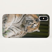 Siberian Tiger Tigress Hoesje-Mate iPhone Case (Achterkant (horizontaal))