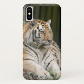 Siberian Tiger Tigress Hoesje-Mate iPhone Case (Achterkant)