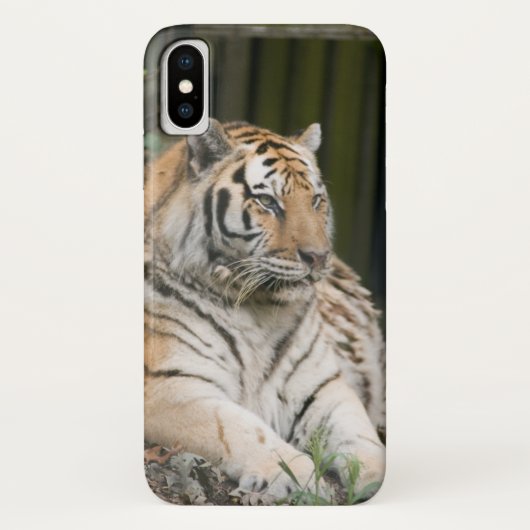 Siberian Tiger Tigress Hoesje-Mate iPhone Case (Achterkant)
