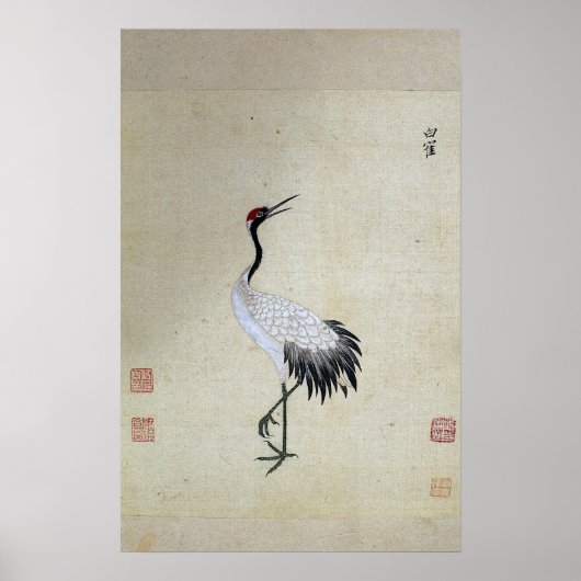 Siberian White Crane Poster (Voorkant)