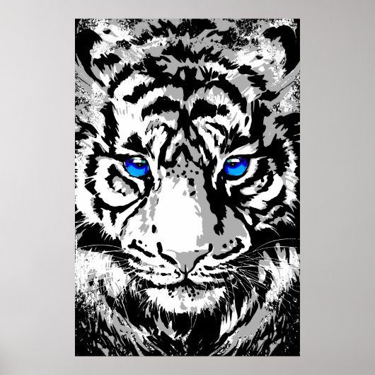 Siberian White Tiger Head - Tiger Poster Blue Eyes (Voorkant)