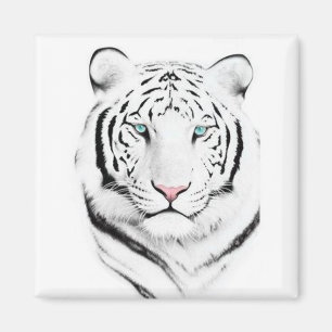 Siberian White Tiger Magneet