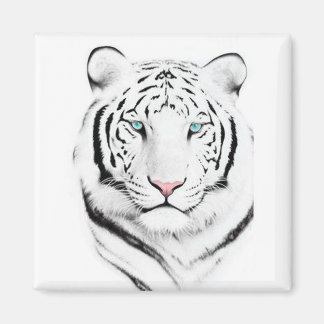Siberian White Tiger Magneet