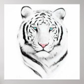 Siberian White Tiger Poster (Voorkant)