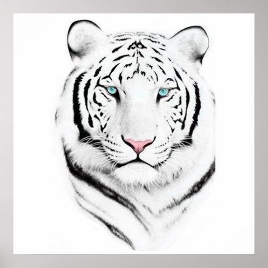 Siberian White Tiger Poster (Voorkant)