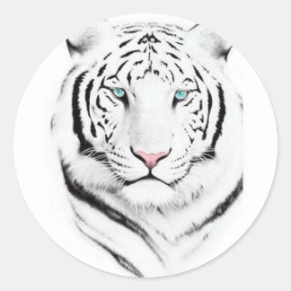 Siberian White Tiger Ronde Sticker