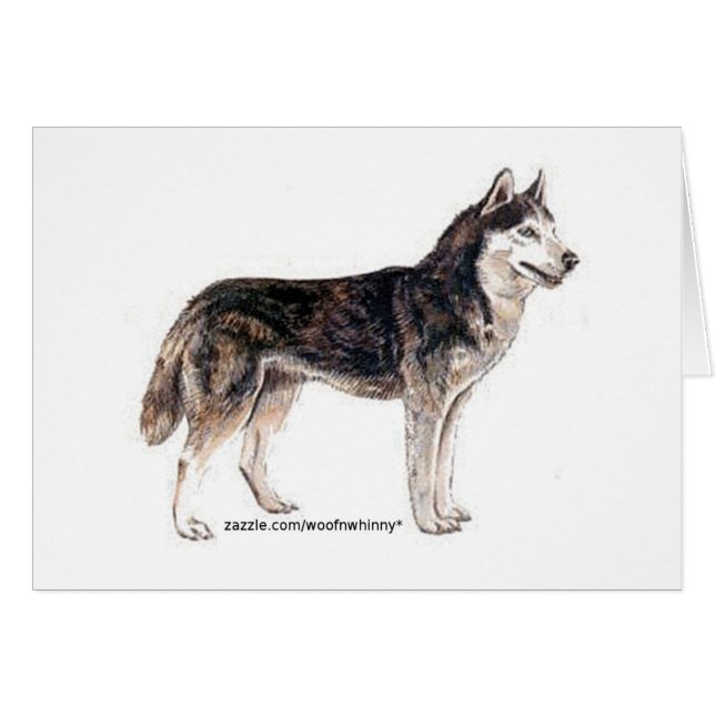 Siberië Husky! (Voorkant Horizontaal)