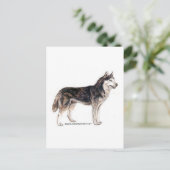 Siberië Husky! Briefkaart (Staand voorkant)