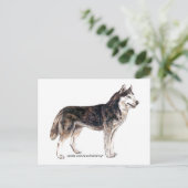 Siberië Husky! Briefkaart (Staand voorkant)