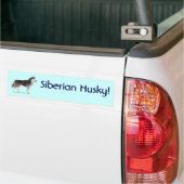 Siberië Husky! Bumpersticker (Op Truck)