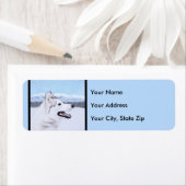 Siberië Husky (zilver en wit) schilderende hond ku Etiket (Insitu)