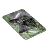 Siberië | Kat Portrait Magneet (Rechterzijde)