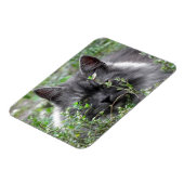 Siberië | Kat Portrait Magneet (Linkerzijde)
