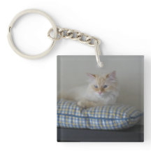 Siberisch boskat (dubbelzijdig)