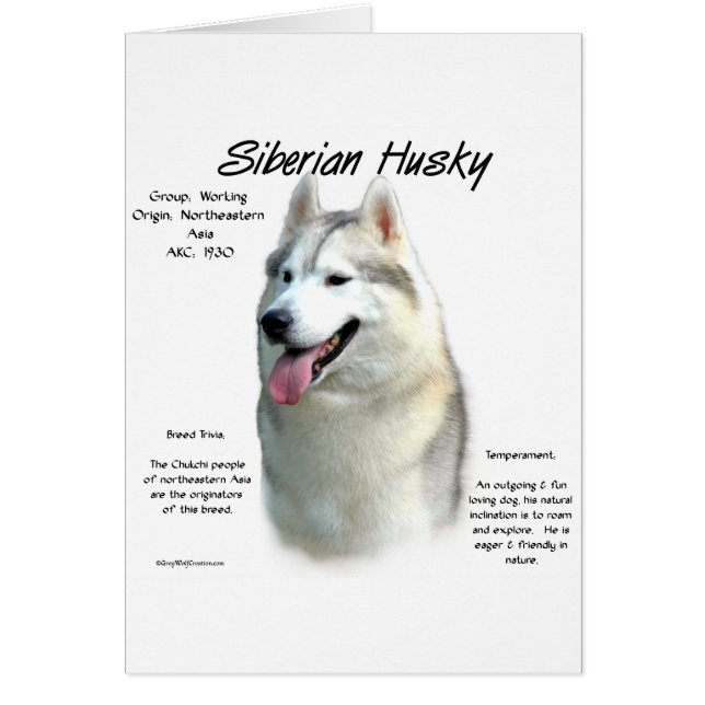 Siberisch Husky Geschiedenis Ontwerp (Voorkant)