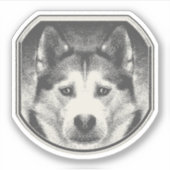 SIBERISCH HUSKY GEZICHT STICKER (Voorkant)