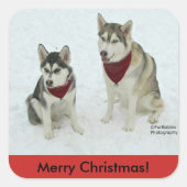 Siberisch Husky-Kerst sticker (Voorkant)