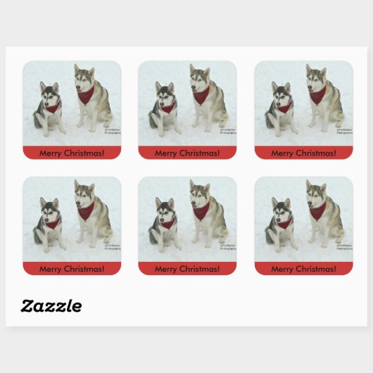 Siberisch Husky-Kerst sticker (Vel)